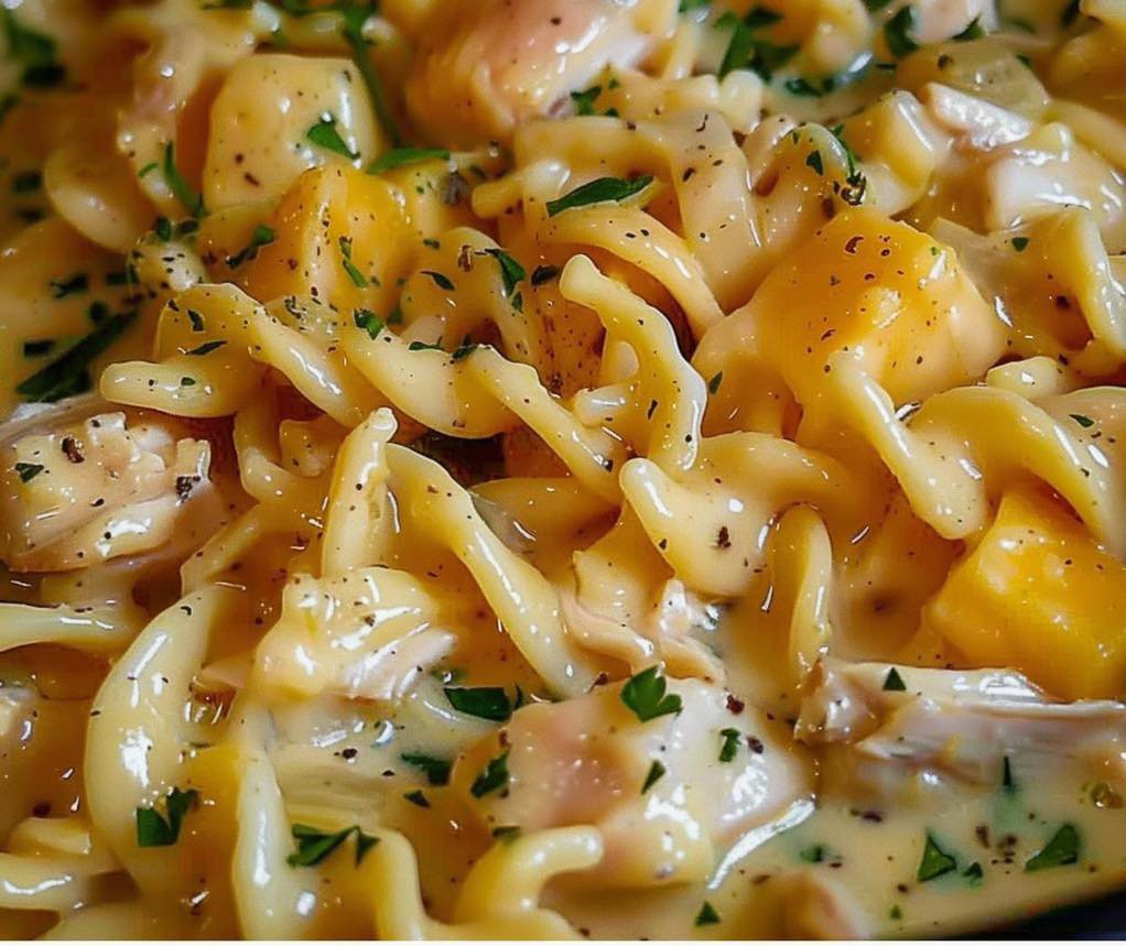 Comforting Chicken & Noodles Crock Pot