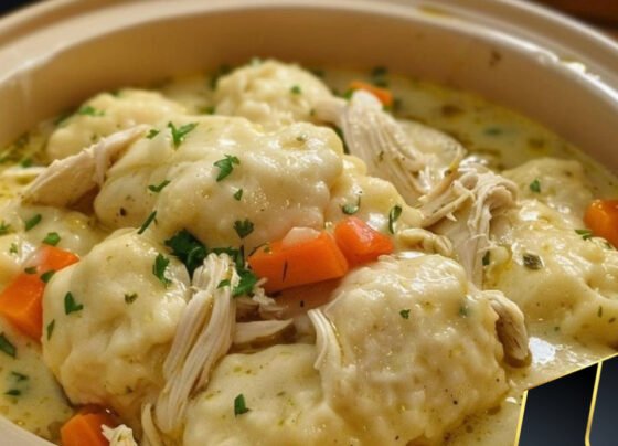 Best Ever Crock Pot Chicken and Dumplings prepared at home with simple ingredients and clear steps.